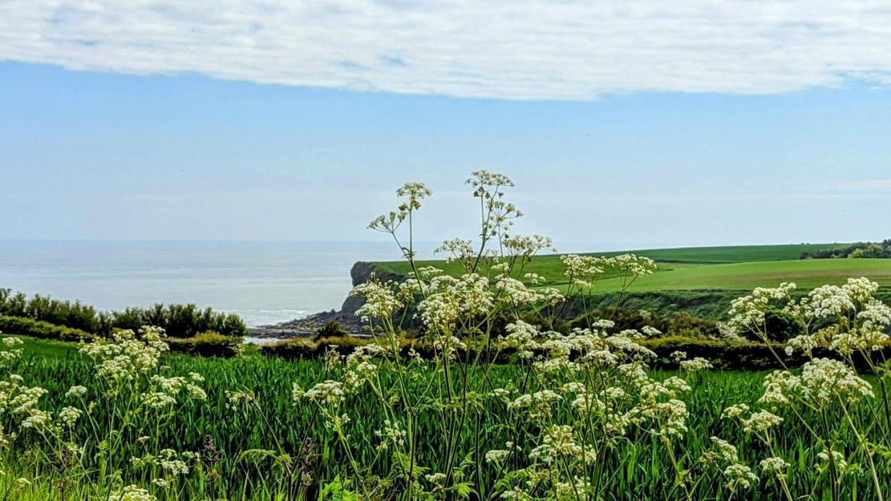 Cober Hill Otel Scarborough Dış mekan fotoğraf